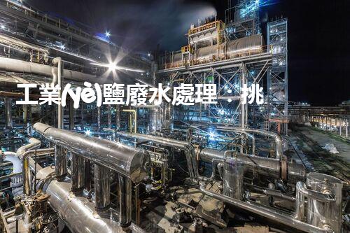 工業(yè)鹽廢水處理：挑戰(zhàn)與創(chuàng)新，誰能拯救這一生態(tài)危機(jī)？